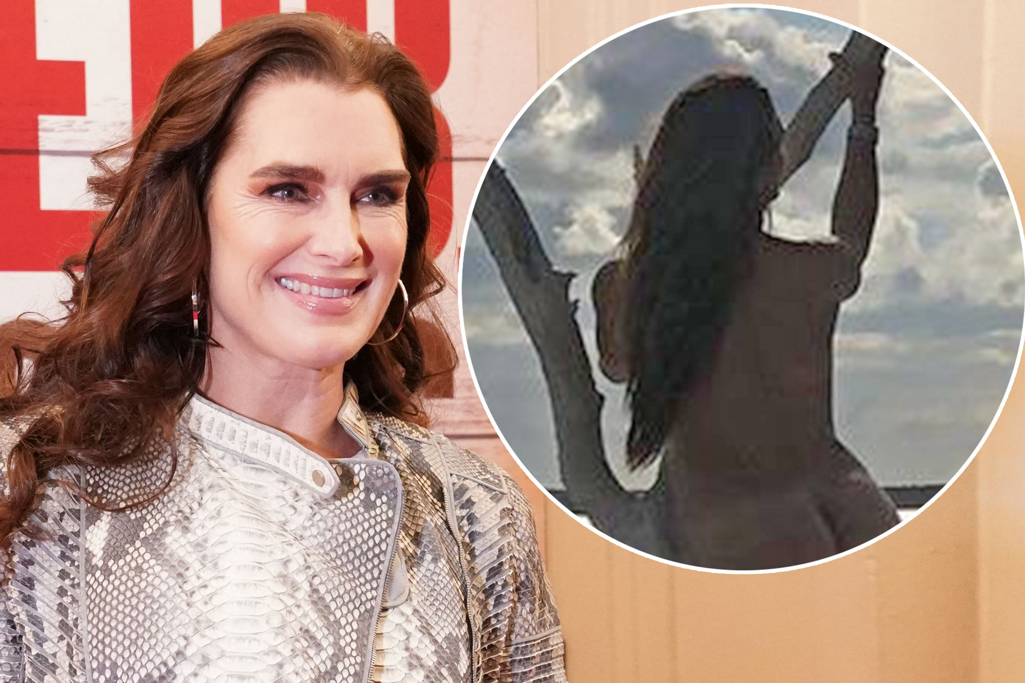 charly thomas recommends brooke shields nude pic