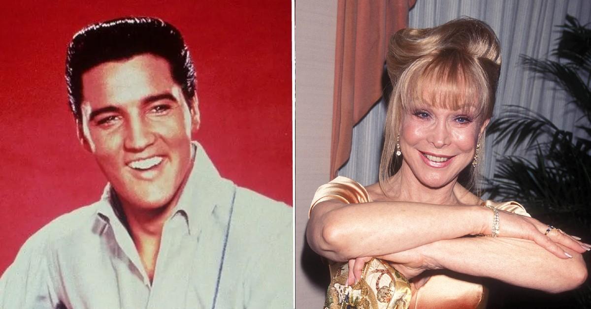 angie quinlan recommends barbara eden mr skin pic