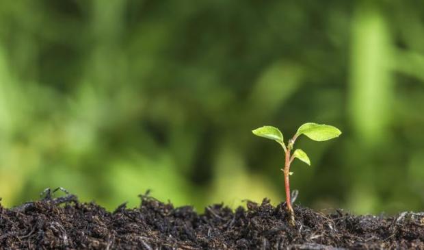 aaron timms recommends Better To Spill Your Seed On The Ground