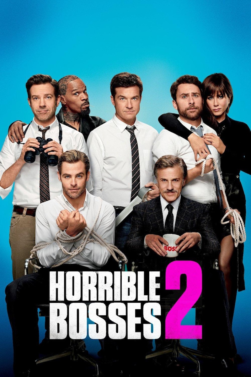 bobby duffie recommends horrible bosses 2 download pic
