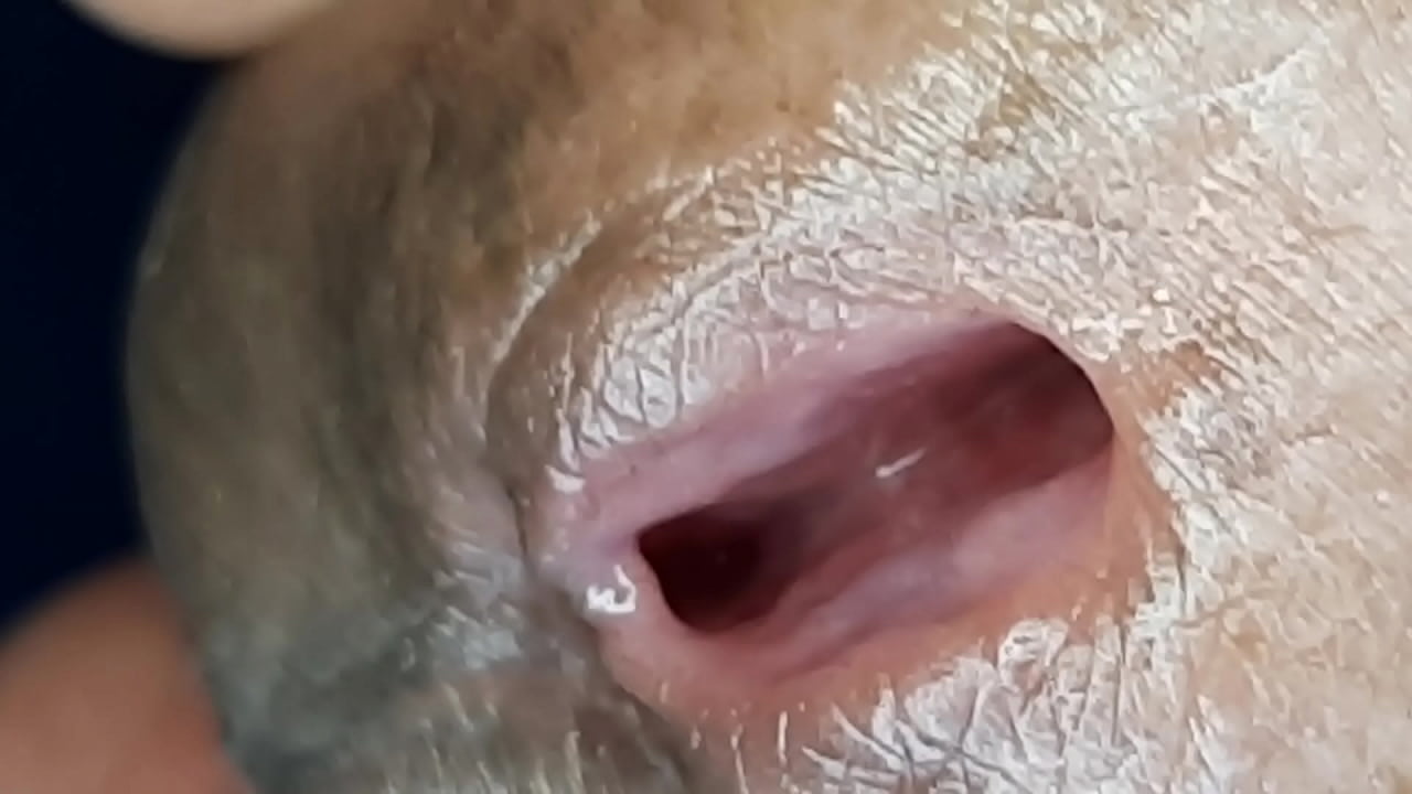 ashley viselli recommends Close Up Penis Pics