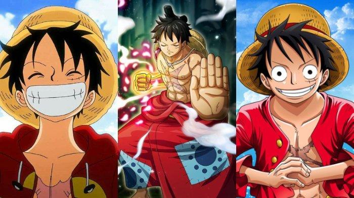 chester knapp recommends images of luffy pic