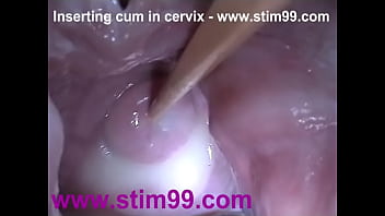 ejaculation in vagina video