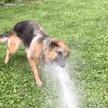 Drinking From A Fire Hose Gif hole gallery
