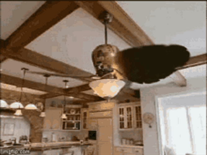 anthony siow add fidget spinner ceiling fan gif photo