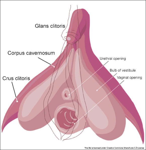 Best of Photos of clitorus