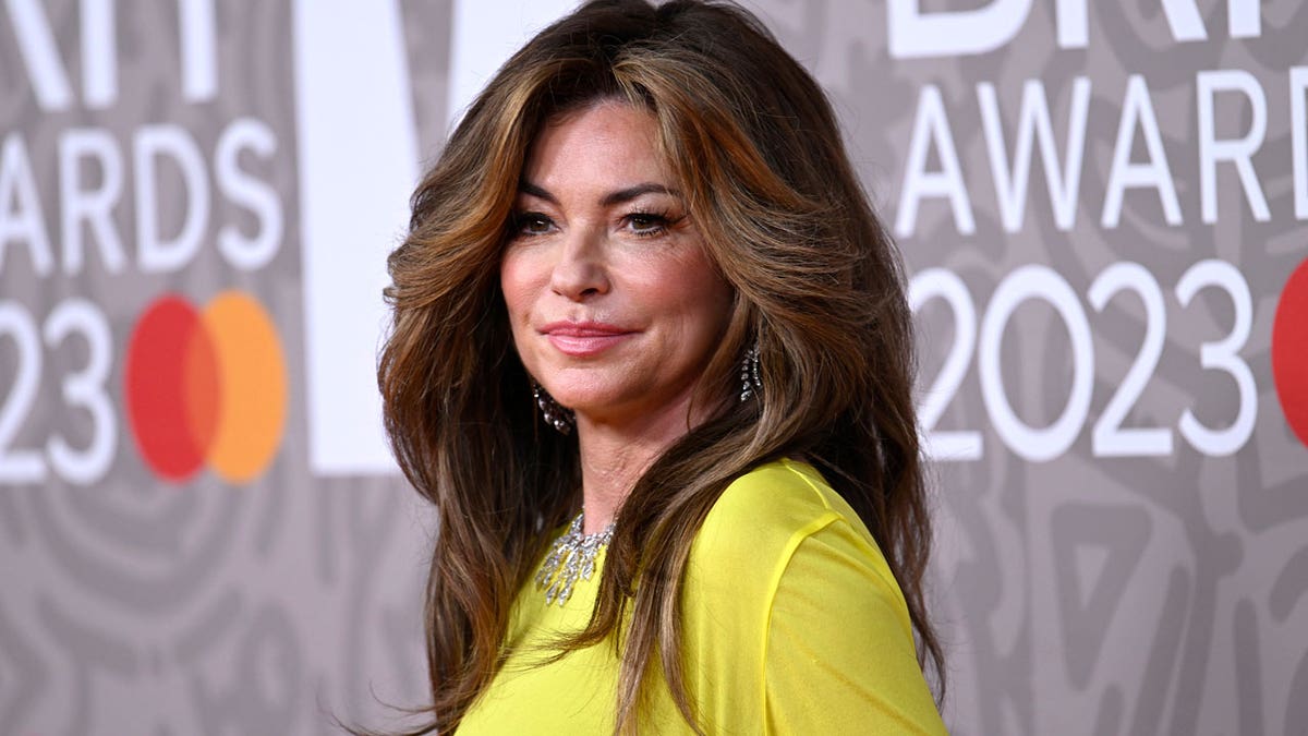 don arenz recommends shania twain nude video pic