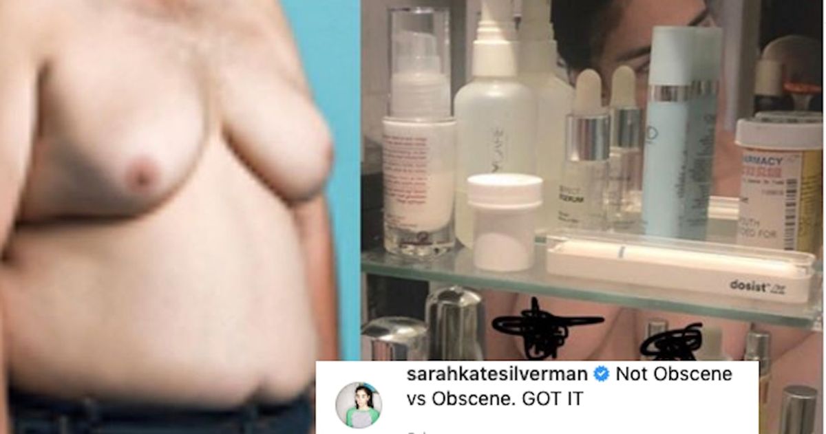 chelsey snider recommends sarah silverman tits pic
