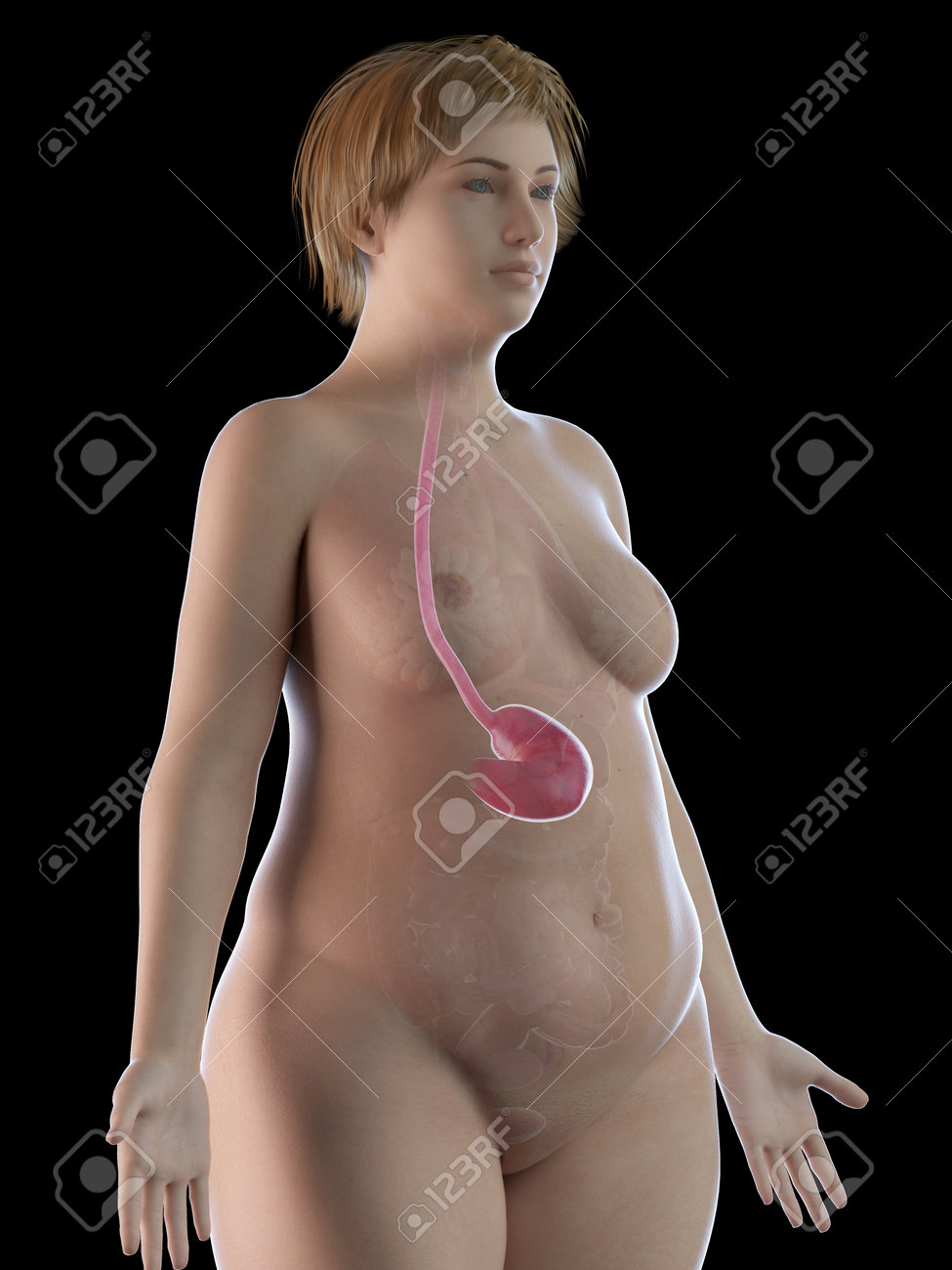 callum metcalf add fotos de mujeres obesas photo