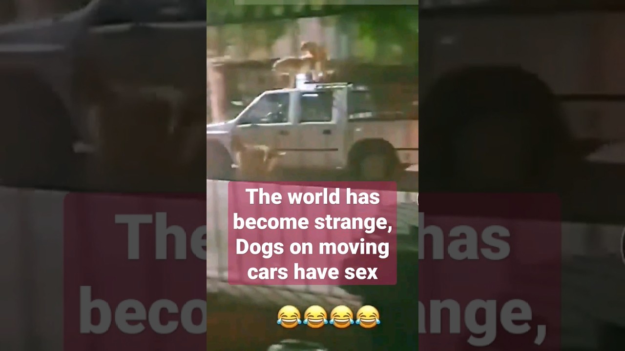 anas ahmad farooqi add how to have sex in a truck photo