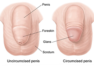 bibash shrestha recommends how to masturbate uncircumcised pic