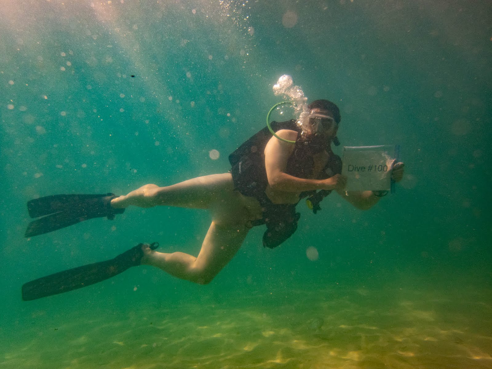 blaine stevenson recommends naked women scuba diving pic