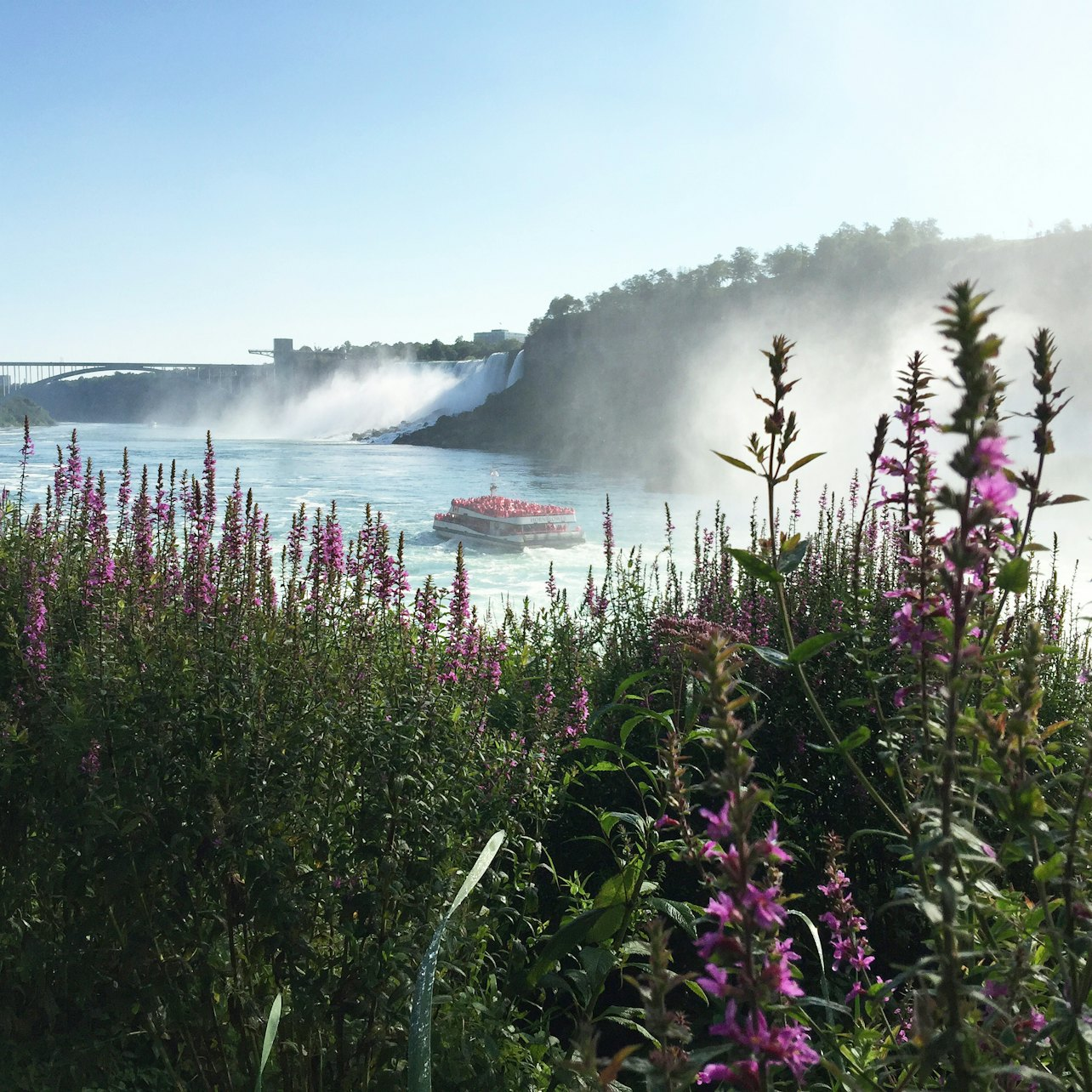 claudia seoane recommends niagara falls canada backpage pic