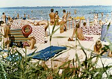 albert san miguel recommends nude beach voyeur video pic