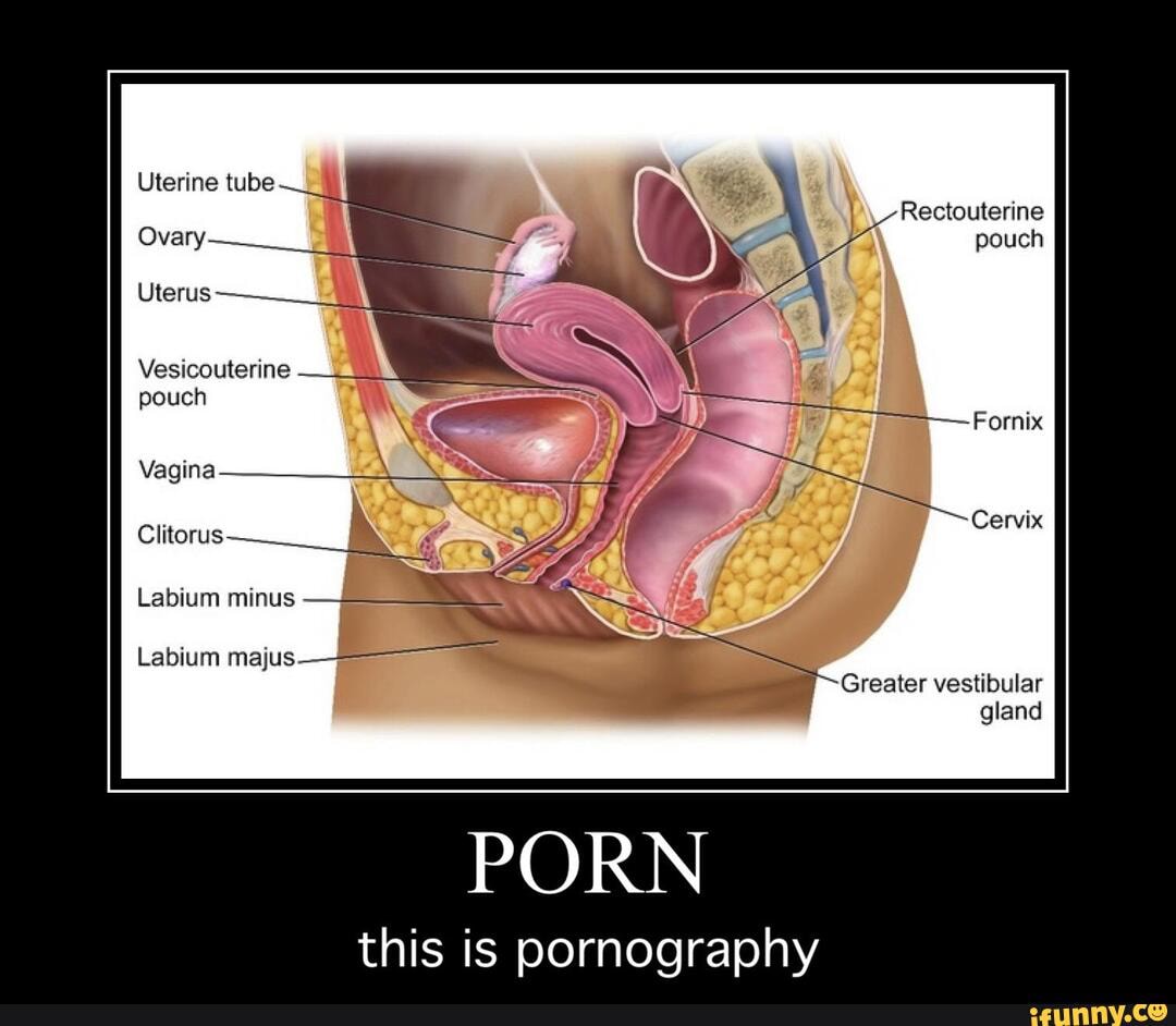 photos of clitorus