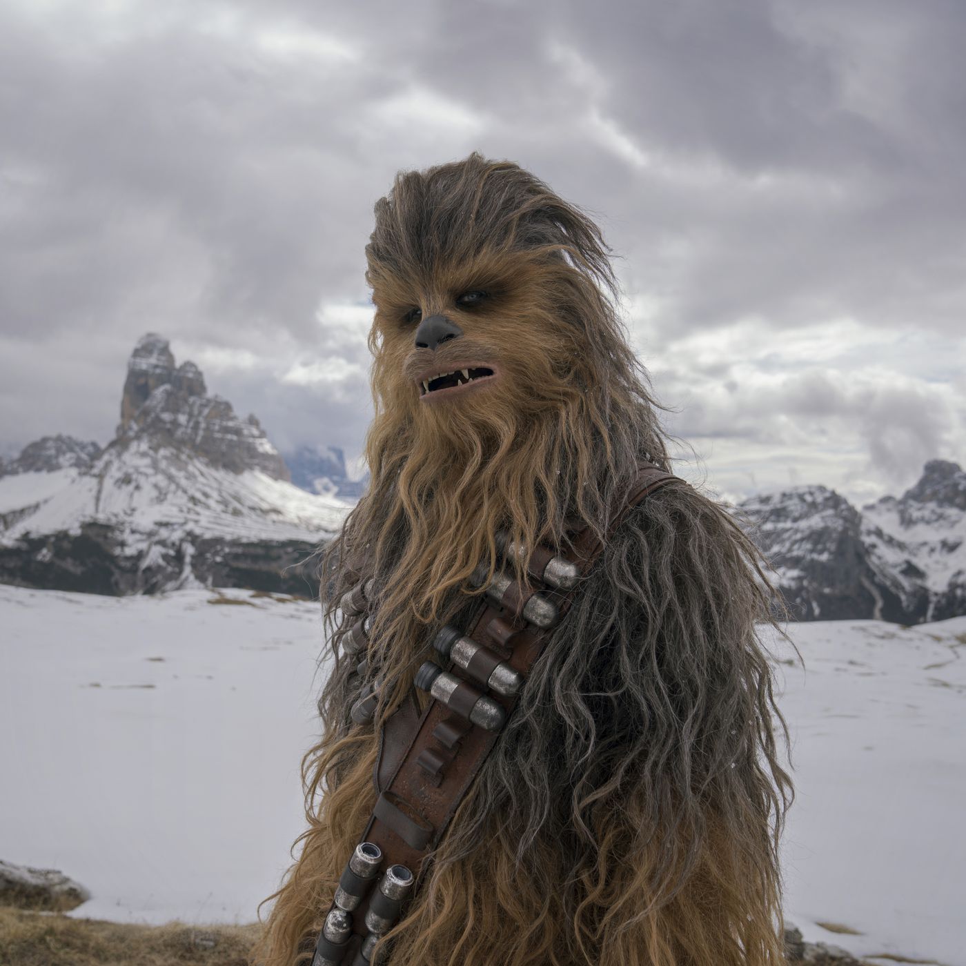Best of Pictures of chewy from star wars