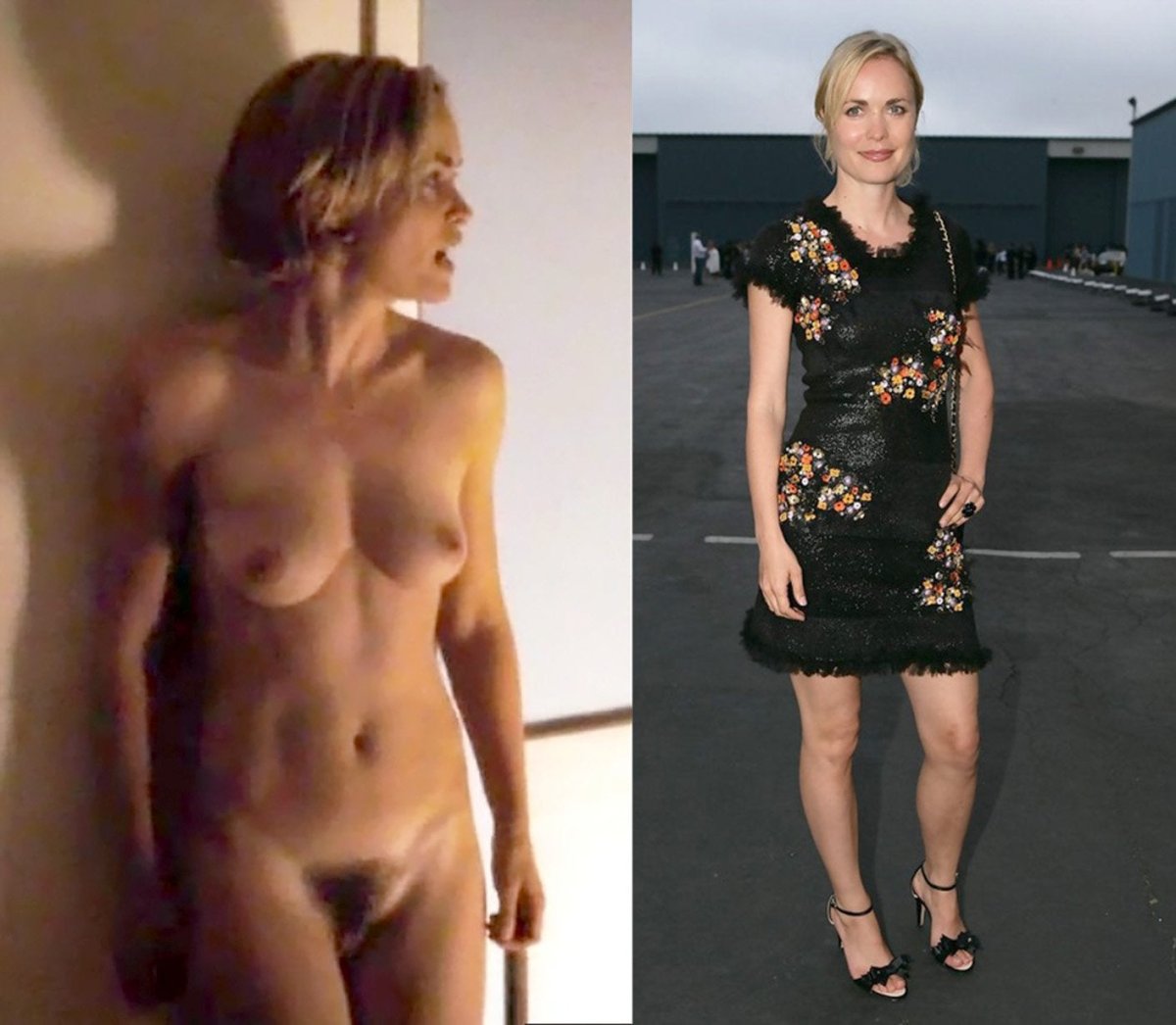 carrie sommer recommends Radha Mitchell Sex Scene
