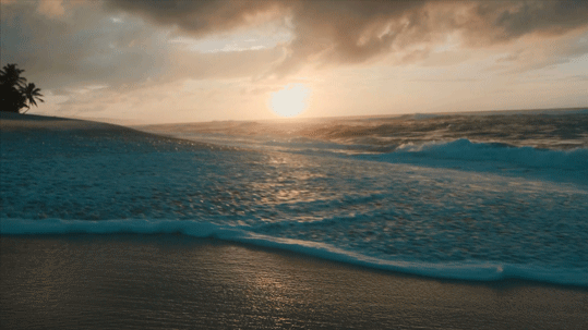dawn wycoff recommends relaxing on beach gif pic