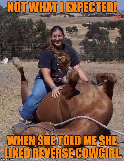 amy estevez add reverse cowgirl meme photo