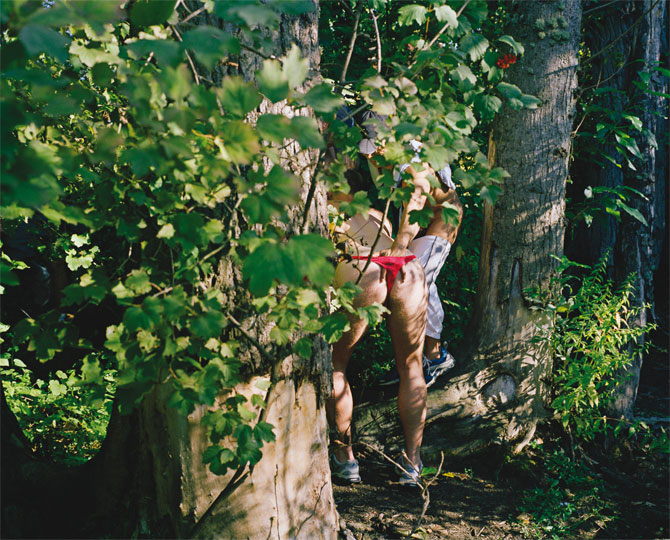 Sex In The Forest to nude