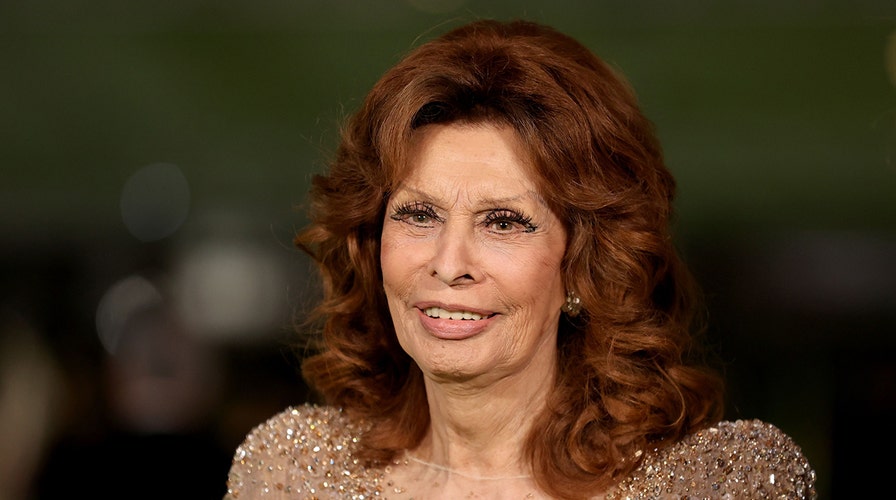 daysha wacanta recommends sophia loren look alikes pic