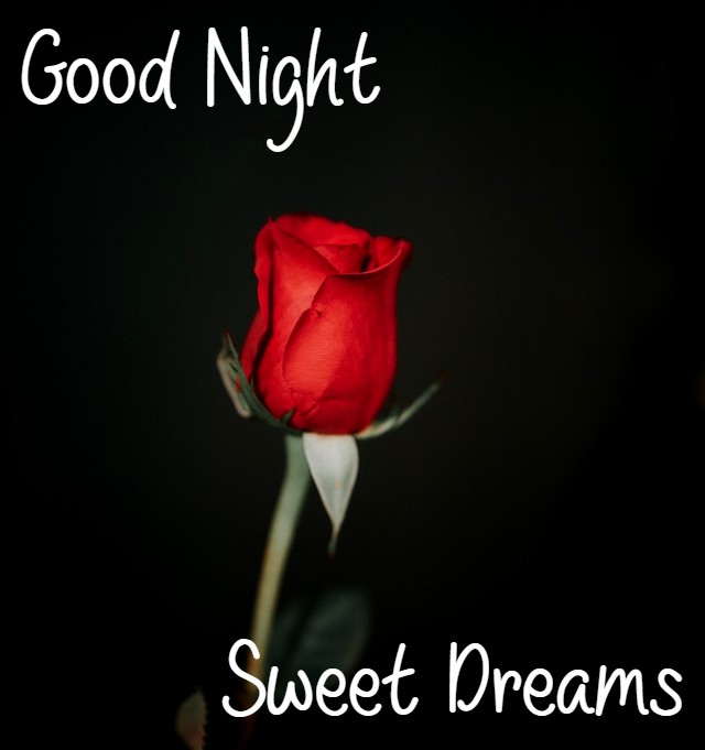 diana jehad recommends sweet dreams dirty good night images pic
