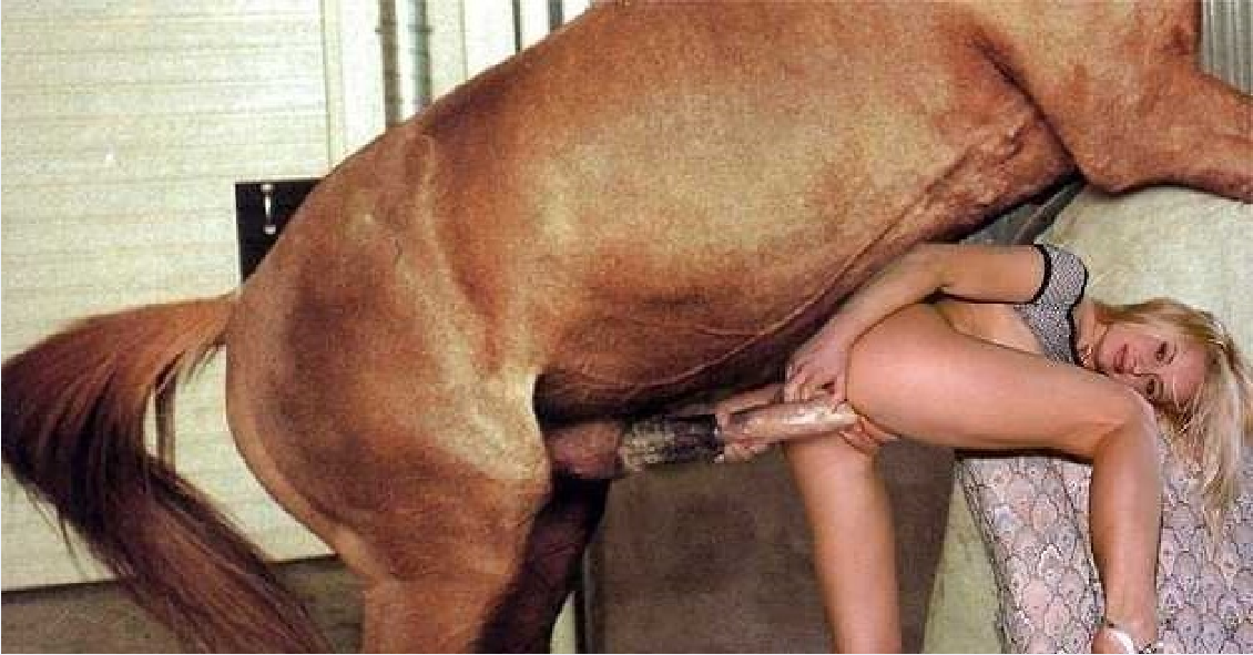 dan fidel add woman having sex with a donkey photo