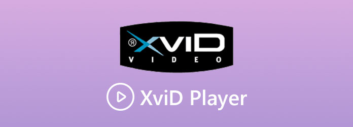 Xvid Video Download Hd wicker park